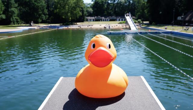 Gelbe Gummiente auf einem Sprungturmbrett im Freibad